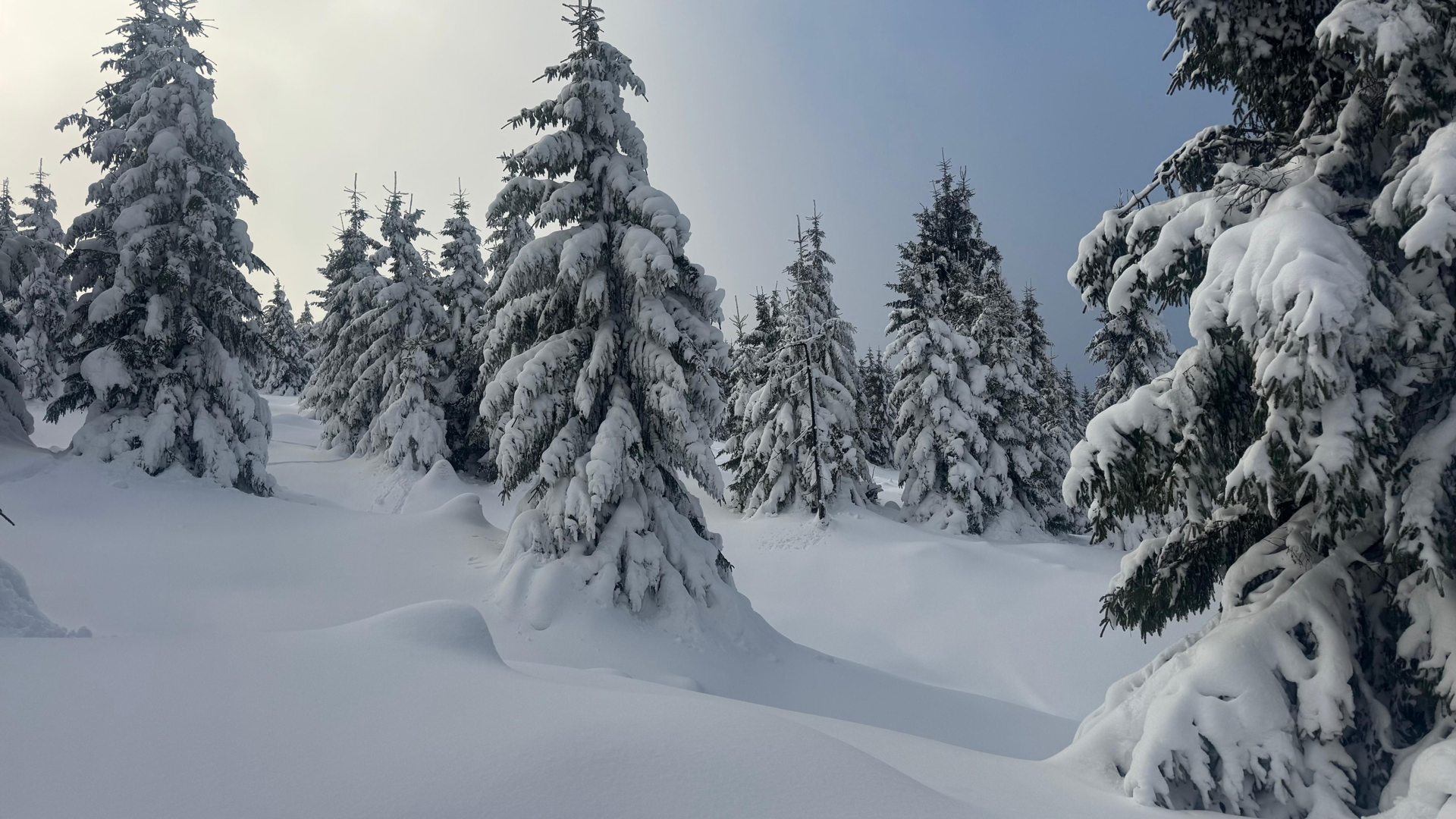 Wild Winter expedition group